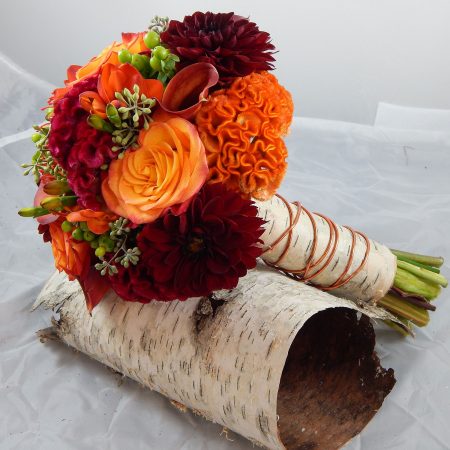 Celosia Flower
