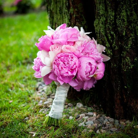 Spring Flowers - Peonies