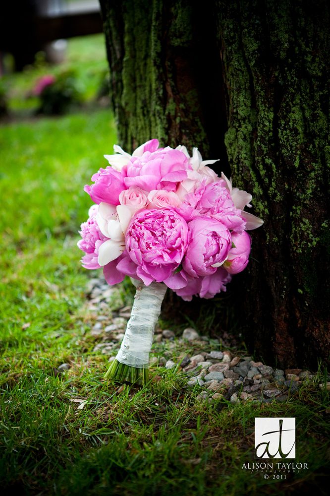 Spring Flowers - Peonies