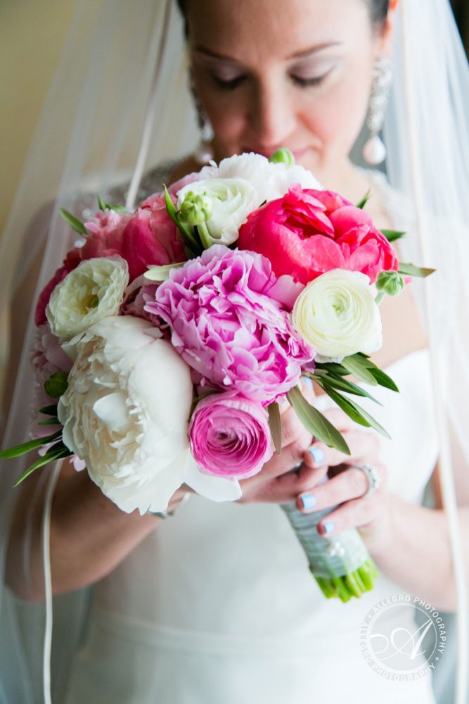 Spring Flowers - Peonies