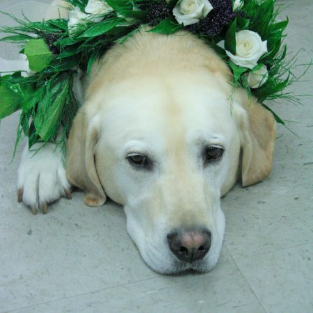 flou(-e)r_specialty_floral_events_wedding_dogs