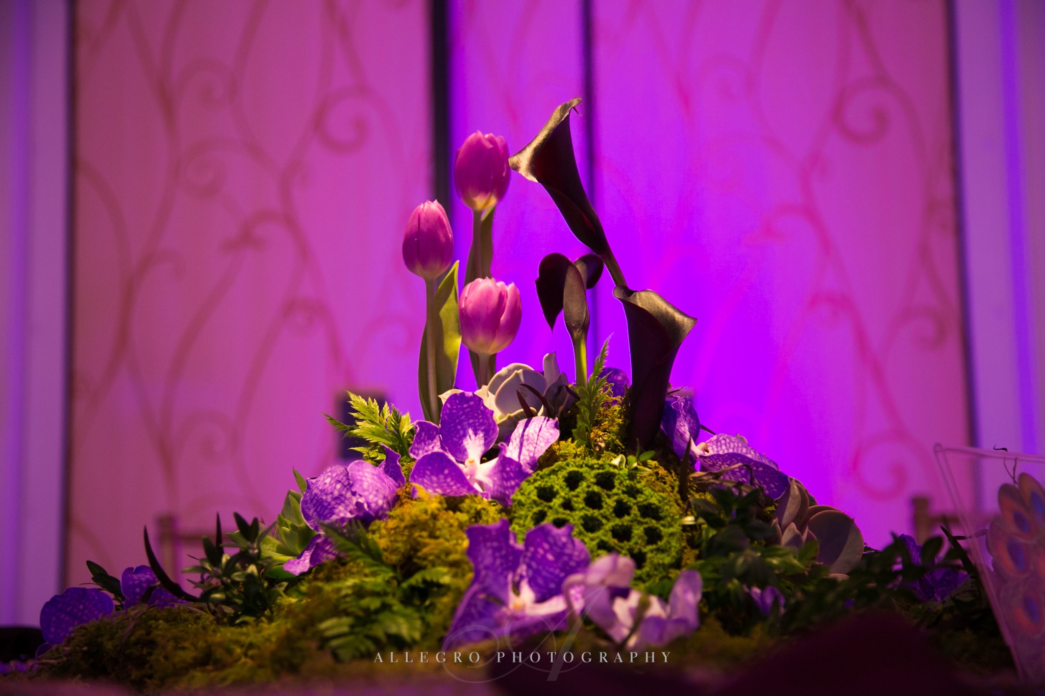 flou(-e)r_specialty_floral_events_wedding_flowers_Boston_trends_texture_5